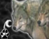 [N]Wolf Pack Army