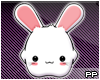 !$PP* Nice rabbit *0*
