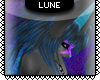 L~ Blarg hair [m]