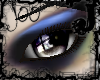 the UNFORGOTTEN