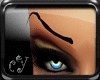 -cY- Male Female Brows