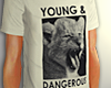 PBM Young & Dangerous
