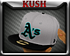 Kd.A's Grey Blk Bak