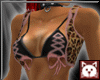 {kat} Envy Bundle