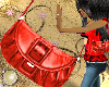 Red Leather Bag