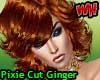 Pixie Cut Hair Ginger
