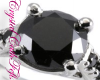 ~CCF~R.L.R.BlackDiamEnWR