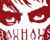 Red Bauhaus