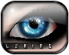 [*L] Moxie: blue