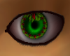 Misteltoe eyes male