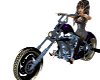 Product Image for harley davidson