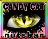 n: cat yellow