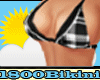 B| Plaid Dot Black Bikin