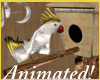 )o( White&Gold Bird