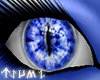 ~Tsu Lucentia Eyes