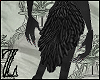 Harpy tail (Celaeno)