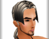 *AV*-Terry Gray Hair