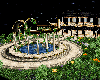 Ninfas paradise