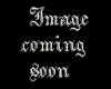 {RR} Cari dog tags