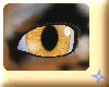 Product Image for Orange Feline Eyes M