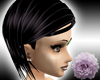 -Midnight Ruby VicV2
