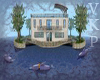 [VKP] Swim with Dolphins
