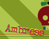 Ambress ~ Mud-dirty top
