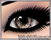 . Chocolate Diamonds