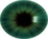 Bright Green Eyes