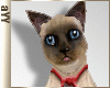 aYY-cute red collar animated siamese cat