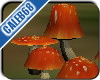 Shrooms 07