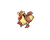 016_Pidgey