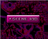 $lu scene kid vip like