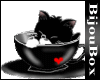 BBox-Black Sleepy Kitty