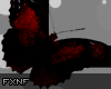 Animated Drip Frame