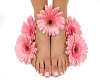 http://userimages01-akm.imvu.com/productdata/images_32baa1c19ef14da92b0138ff693b74fd.jpg