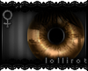 *L� iWet | Brown