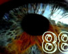 **Demented Eyes** [88]