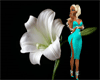 LUSTY LACE SLIT TEAL BH