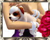 Small Dog