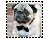 Biggie Pug Stamp 6