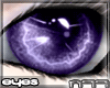 Product Image for [n77] Dream Purple
