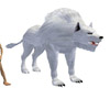 White Wolf