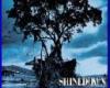 45 shinedown