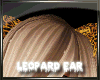 !S Leopard Ear