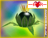 LoZ:OoT-BombFlower (Der)