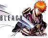 Bleach