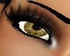 Product Image for female eyes or