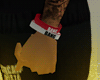 PBM BANG BANG Wristbands