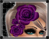 Hair Roses Purple